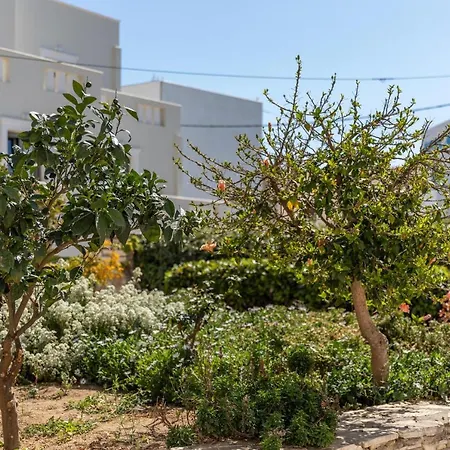 Apartment Margherita's Cozy Studio In Naxos Naxos City