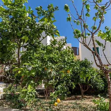 Apartment Margherita's Cozy Studio In Naxos